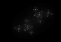 Julia avec c = -1.476